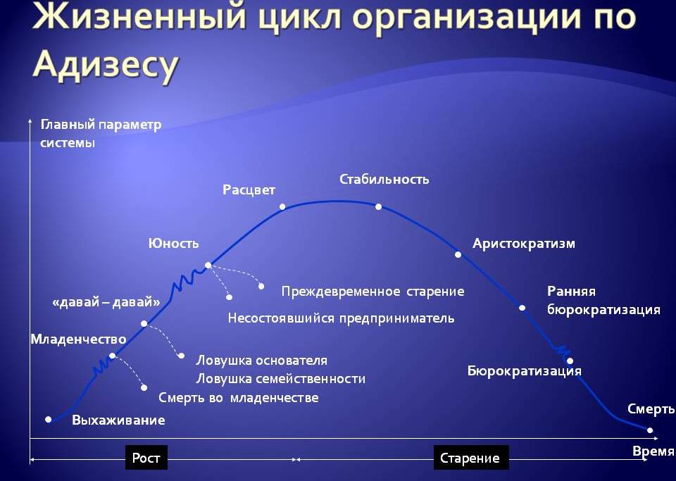 цикл организаций