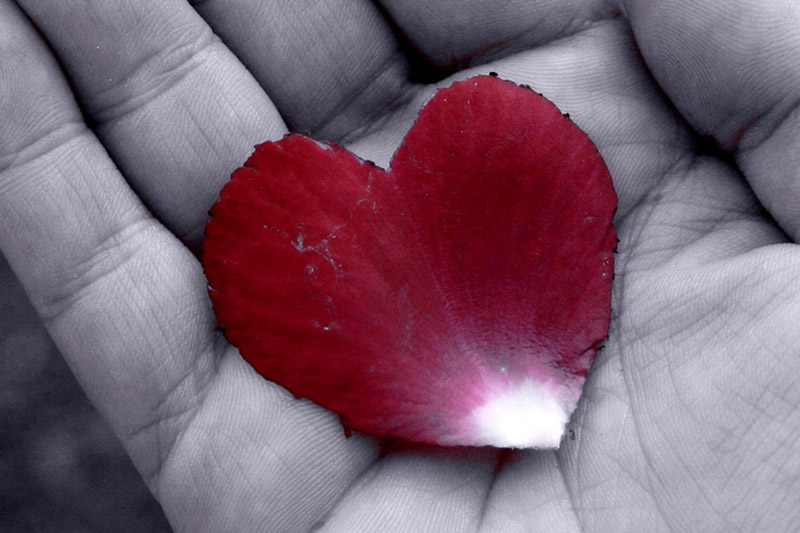 Hand with a red petal