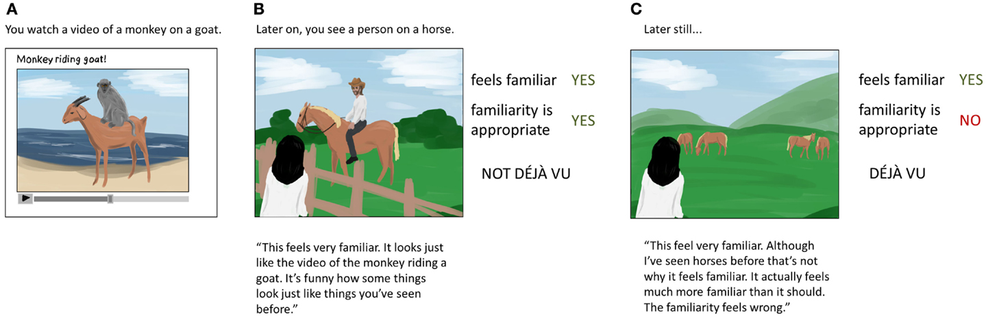 Figure 1 - What is and what is not a déjà vu experience?