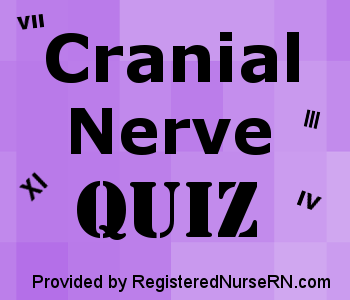 list of cranial nerves in order