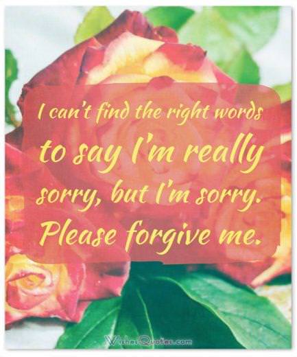 Apology Message: I can